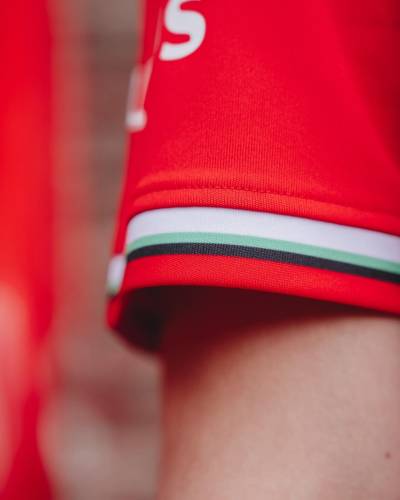 fc_twente_24_25_castore_home_kit_c.jpeg