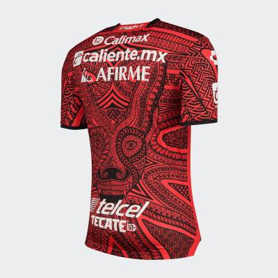 xolos_2022_2023_third_shirt_d.jpeg