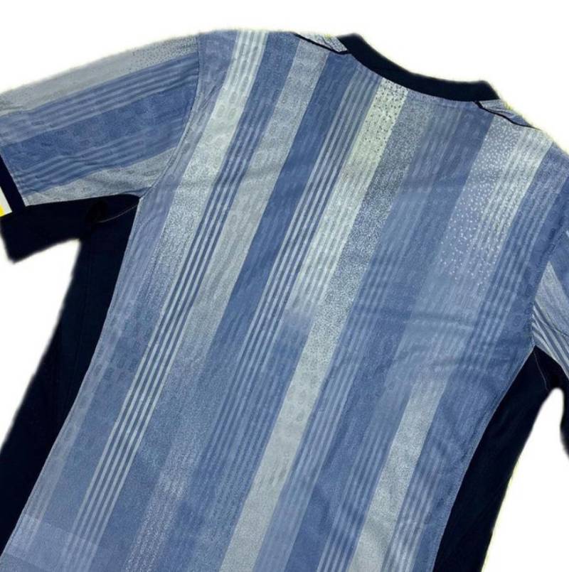 tottenham_hotspur_24_25_away_shirt_leaked_b.jpeg