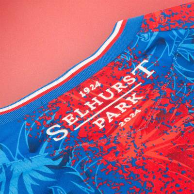 crystal_palace_24_25_macron_home_kit_2.jpg