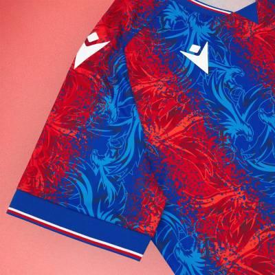 crystal_palace_24_25_macron_home_kit_3.jpg