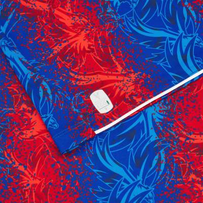 crystal_palace_24_25_macron_home_kit_4.jpg