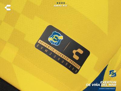 everton_vina_del_mar_2023_away_kit_e.jpeg