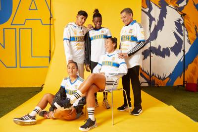 tigres_2023_third_kit_3.jpeg