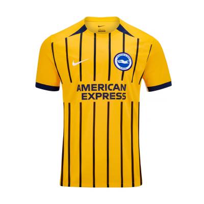 brighton_hove_albion_24_25_nike_away_kit_e1.jpg