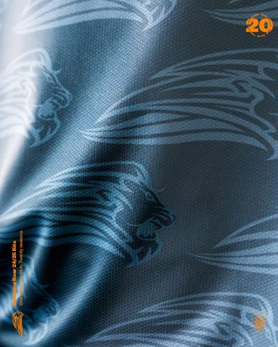 brisbane_roar_24_25_cikers_third_kit_4.jpg