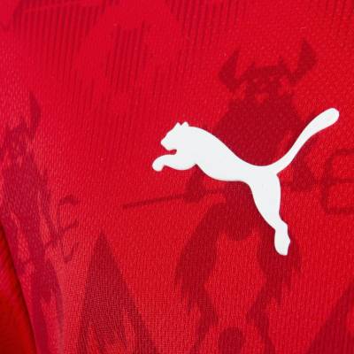 independiente_24_25_puma_home_kit_c4.jpeg