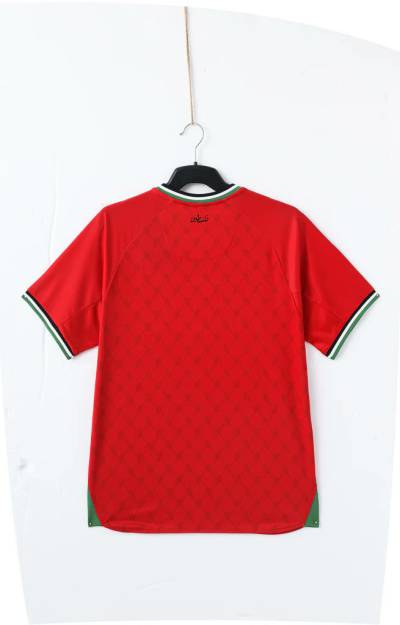 palestine_24_25_kelme_away_kit_1a.jpeg