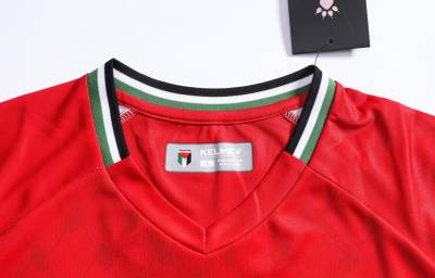palestine_24_25_kelme_away_kit_4.jpg