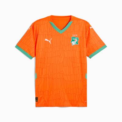 cote_d_ivoire_2025_puma_home_kit_6.jpeg