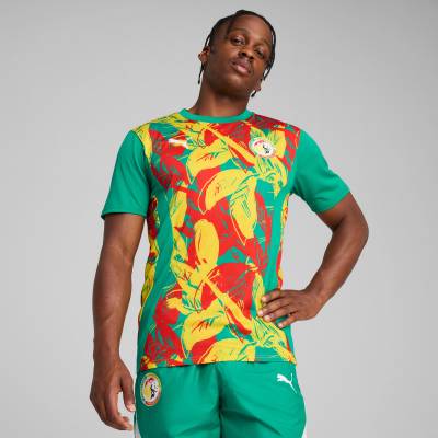 senegal_2025_puma_pre_match_jersey_2.jpeg
