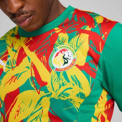 senegal_2025_puma_pre_match_jersey_3.jpeg