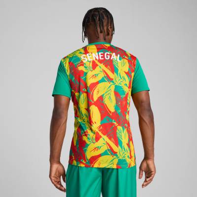senegal_2025_puma_pre_match_jersey_5.jpeg