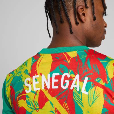 senegal_2025_puma_pre_match_jersey_6.jpeg