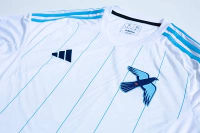 new_york_city_fc_ii_2025_adidas_home_kit_e.jpg