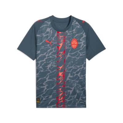 shakhtar_donetsk_25_26_away_shirt_leaked_b.jpeg