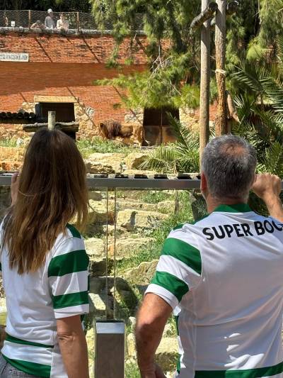 sporting_cp_25_26_nike_home_kit_d.jpg