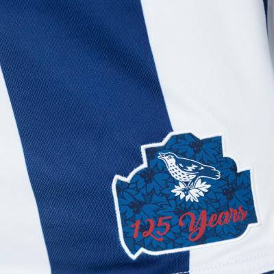 west_bromwich_albion_25_26_macron_home_kit_3.jpg