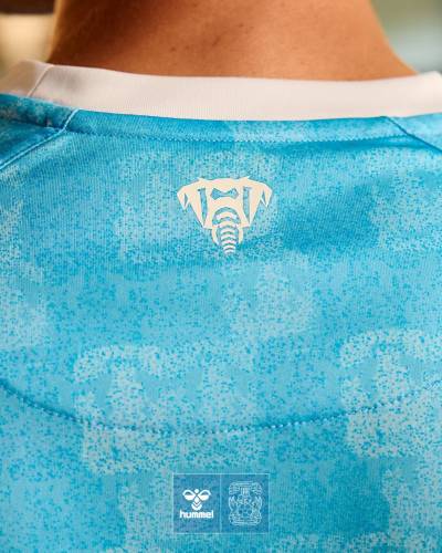 coventry_city_25_26_hummel_home_kit_c.jpg