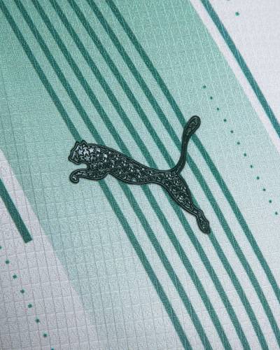 palmeiras_2023_puma_away_kit_d.jpeg