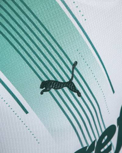 palmeiras_2023_puma_away_kit_h.jpeg