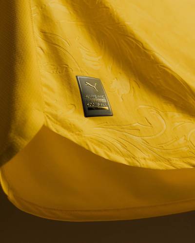 borussia_dortmund_25_26_puma_cup_kit_d.jpeg
