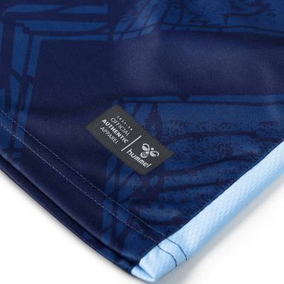 coventry_city_25_26_hummel_third_kit_d.jpg
