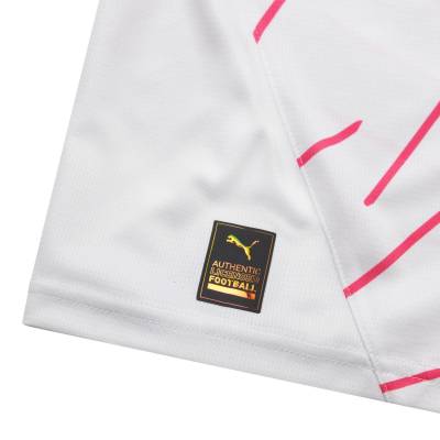 melbourne_city_25_26_puma_third_kit_d.jpg