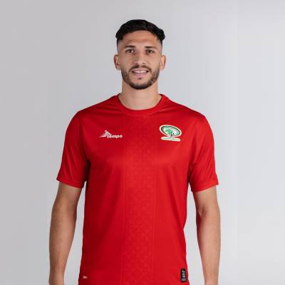 palestine_2023_home_kit_e.jpeg