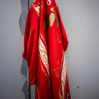 fortuna_koln_25_26_robey_carnival_shirt_6.jpg
