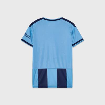 djurgardens_if_2026_adidas_home_kit_e.jpg