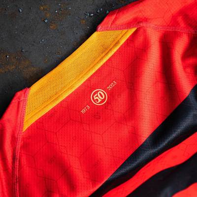 pohang_steelers_2023_home_kit_d.jpeg