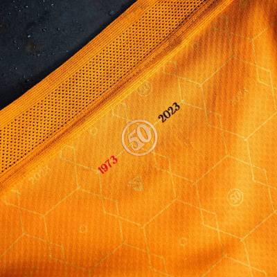 pohang_steelers_2023_special_edition_kit_f.jpeg