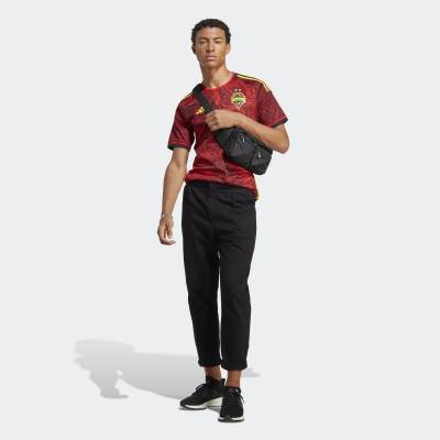 seattle_sounders_2023_24_adidas_bruce_lee_kit_4.jpg