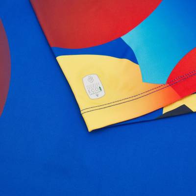 fc_basel_2023_macron_carnival_kit_6a.jpg