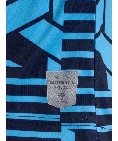 denmark_2023_hummel_pre_match_shirt_7.jpg