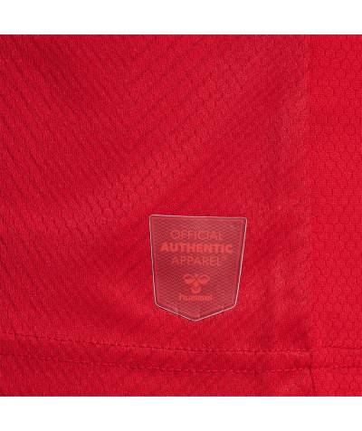 denmark_2022_home_away_third_kit_8.jpg