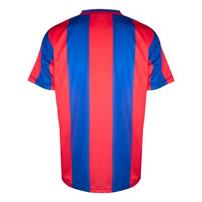 crystal_palace_1990_fa_cup_final_bukta_retro_shirt_b.jpeg