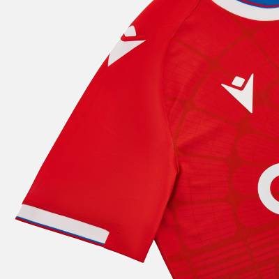 crystal_palace_2023_24_macron_home_kit_6.jpg