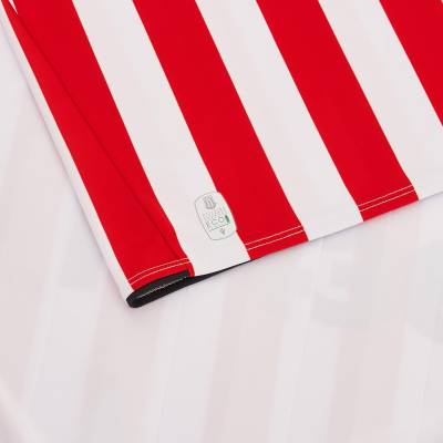 stoke_city_2023_24_macron_home_kit_7.jpg