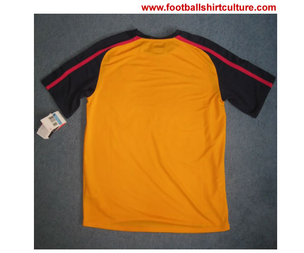 arsenal_08_09_away_nike_shirt_back.jpg