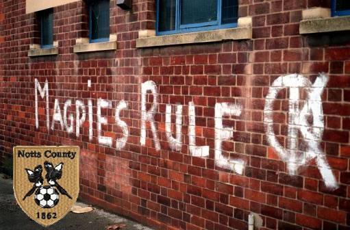 notts_county_vandanel.jpg