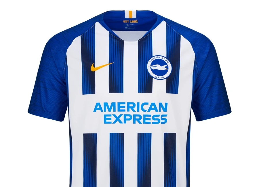 Brighton & Hove Albion 2019-20 Nike Home Kit #BHAFC #BrightonAndHoveAlbion #nikefootball