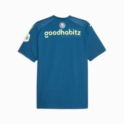 psv_2023_24_puma_third_kit_e.jpg